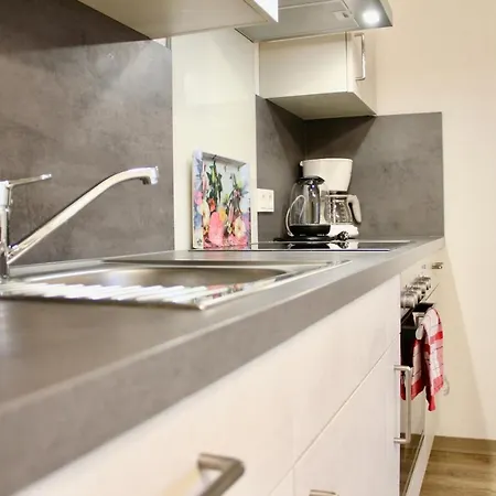 Herzog Wolfgang Studios- Zentral, Modern, Freundlich Apartment Zweibrücken